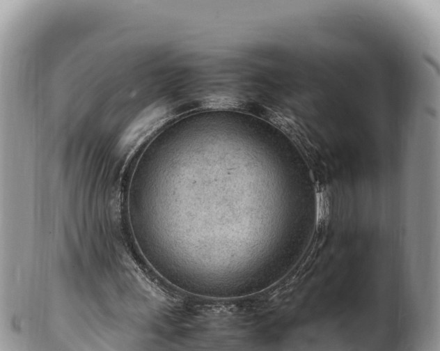 X0000102250243200808011317