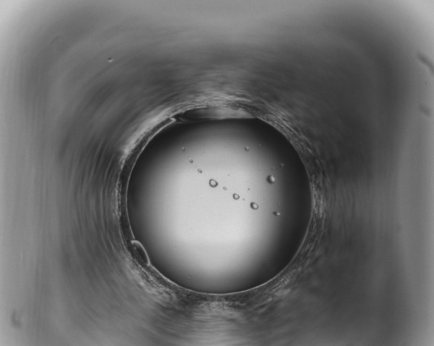 X0000102250244200808011317