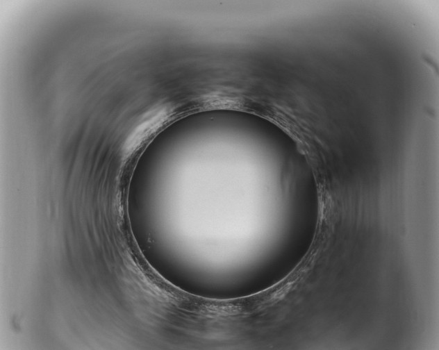 X0000102250245200808011317