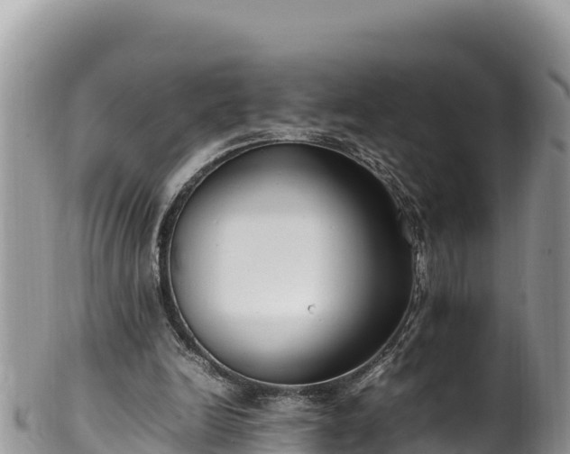 X0000102250246200808011317