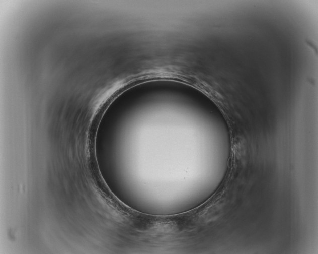 X0000102250248200808011317