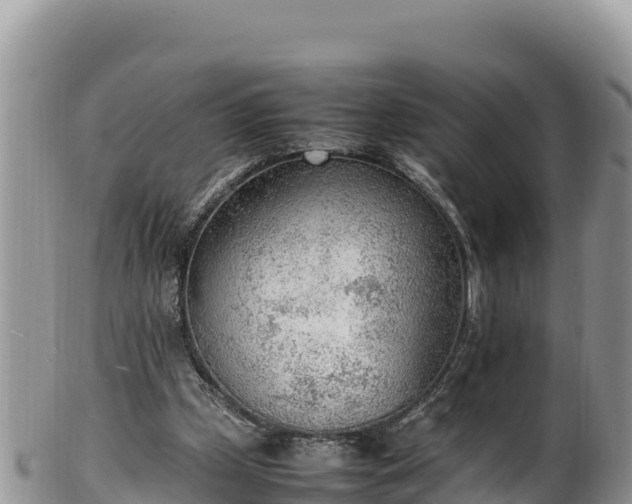 X0000102250249200808011317