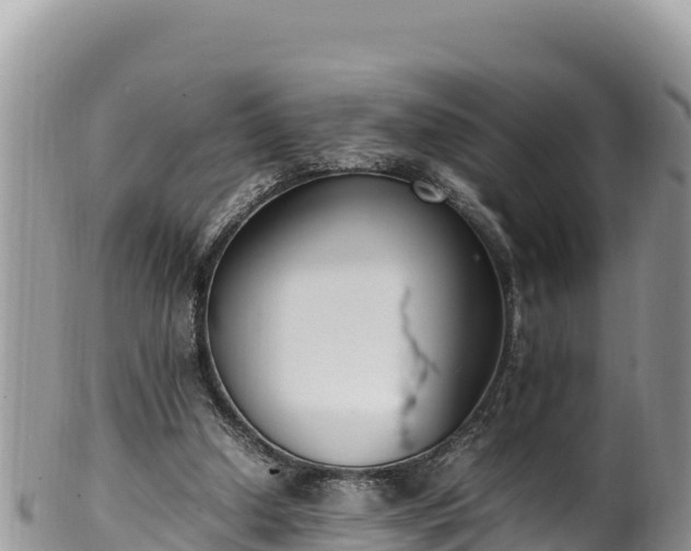 X0000102250250200808011317