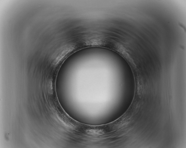 X0000102250251200808011317