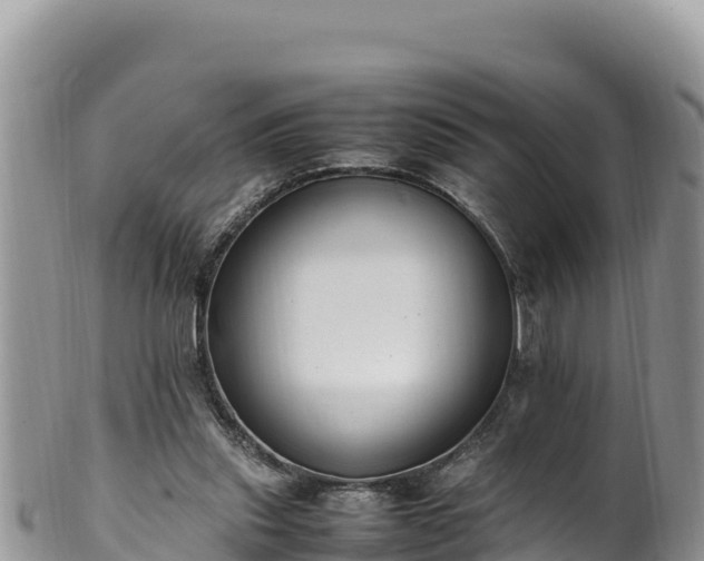 X0000102250253200808011317