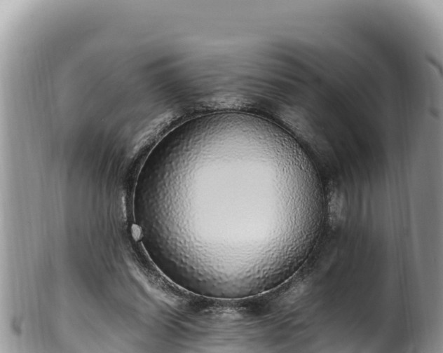 X0000102250254200808011317