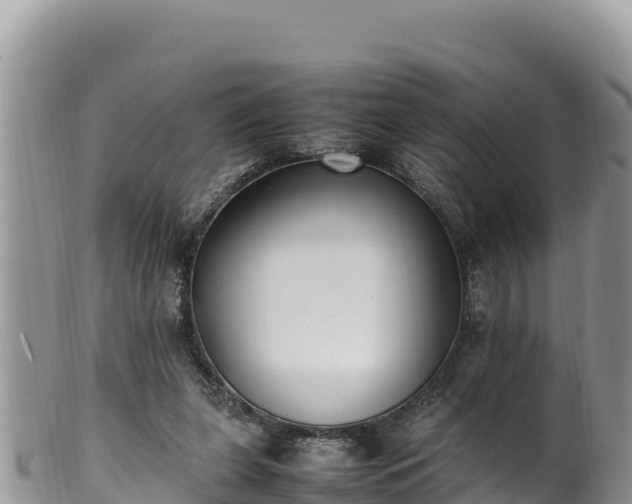 X0000102250255200808011317