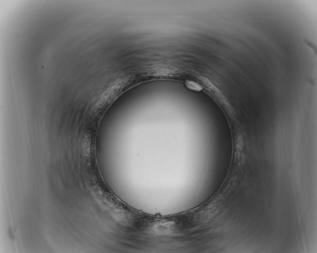 X0000102250257200808011317