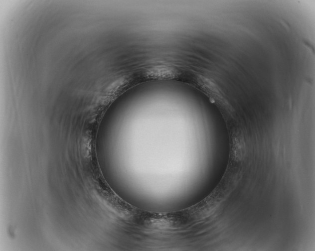 X0000102250259200808011317