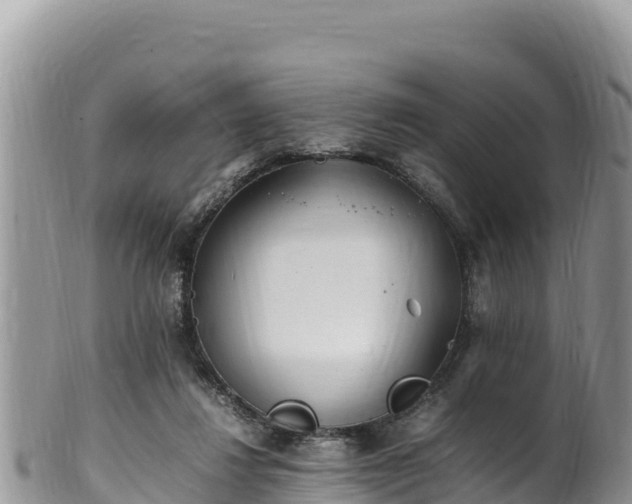 X0000102250260200808011317