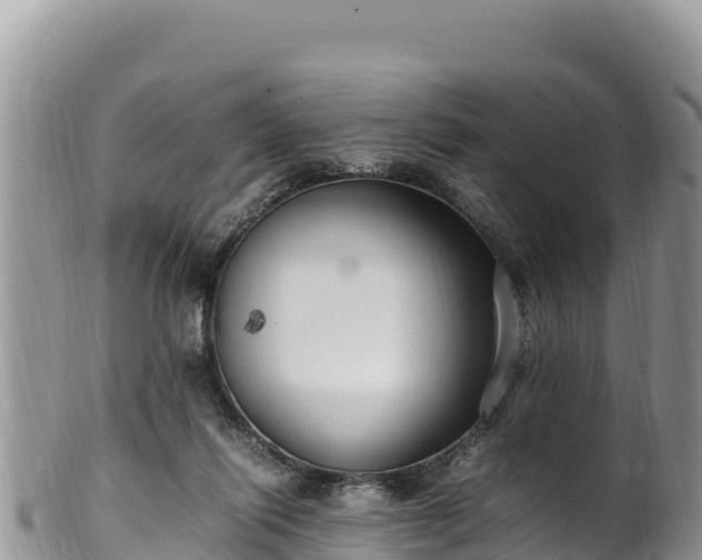 X0000102250262200808011317