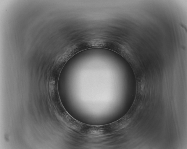 X0000102250263200808011317