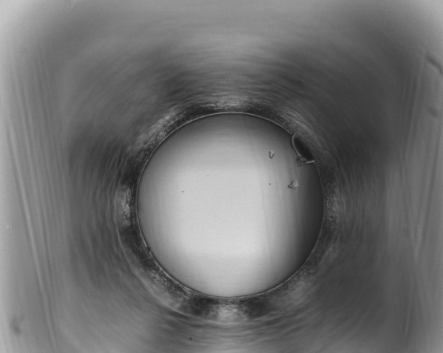 X0000102250264200808011317