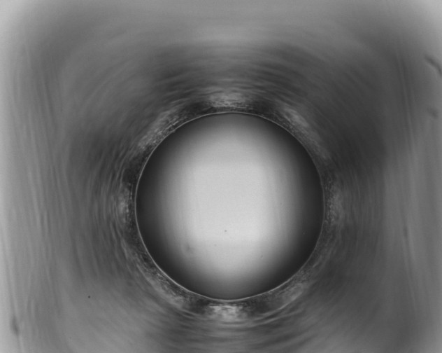 X0000102250265200808011317