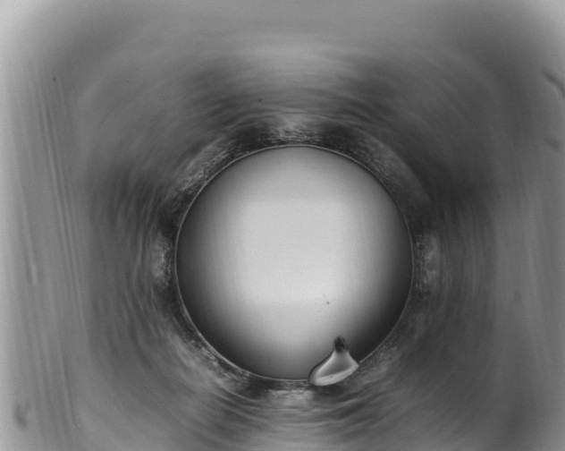 X0000102250266200808011317