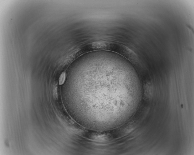 X0000102250267200808011317