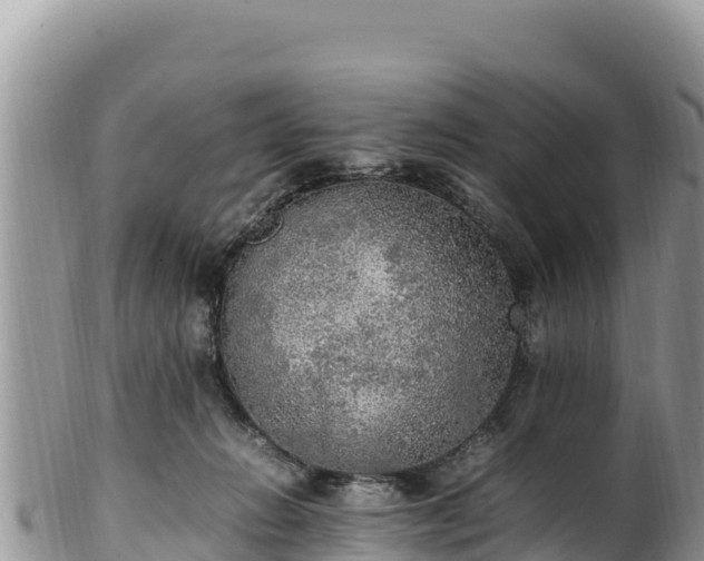 X0000102250270200808011317