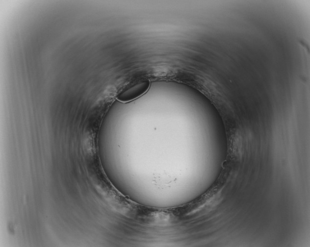 X0000102250272200808011317