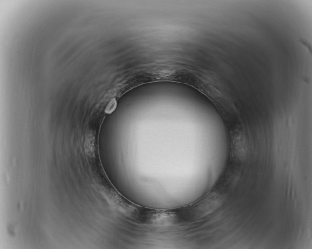 X0000102250274200808011317