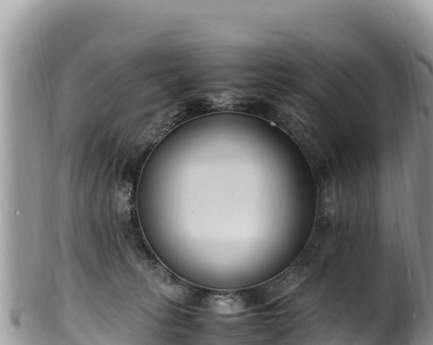 X0000102250275200808011317