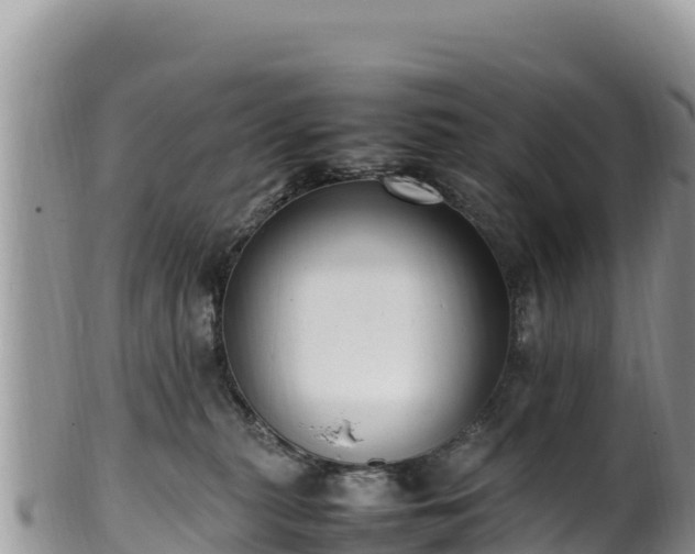 X0000102250279200808011317