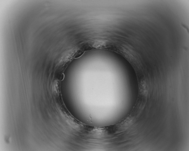 X0000102250280200808011318