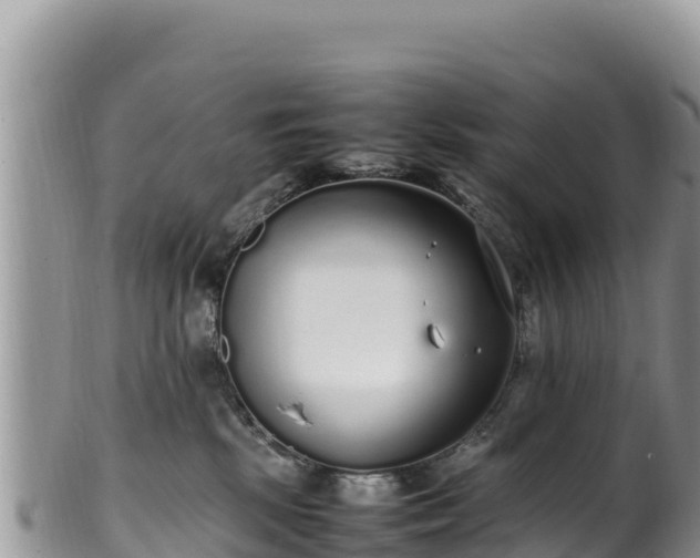 X0000102250281200808011318