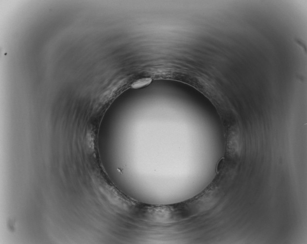 X0000102250282200808011318