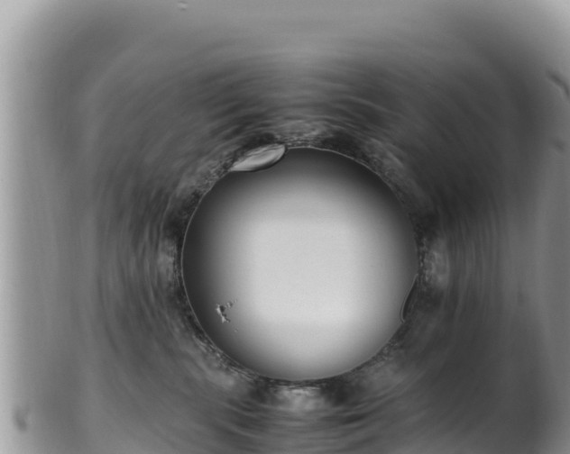 X0000102250283200808011318