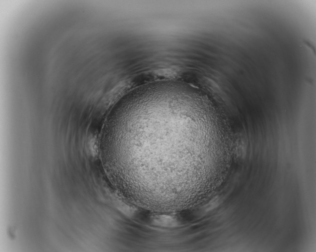 X0000102250285200808011318