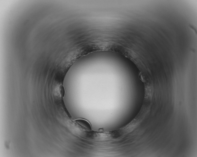 X0000102250286200808011318