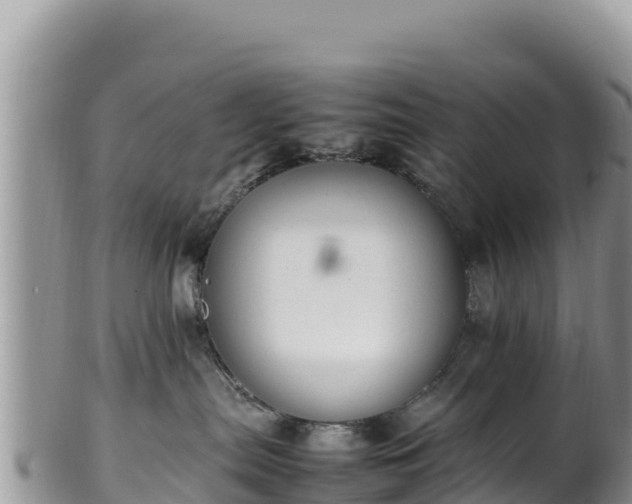 X0000102250287200808011318