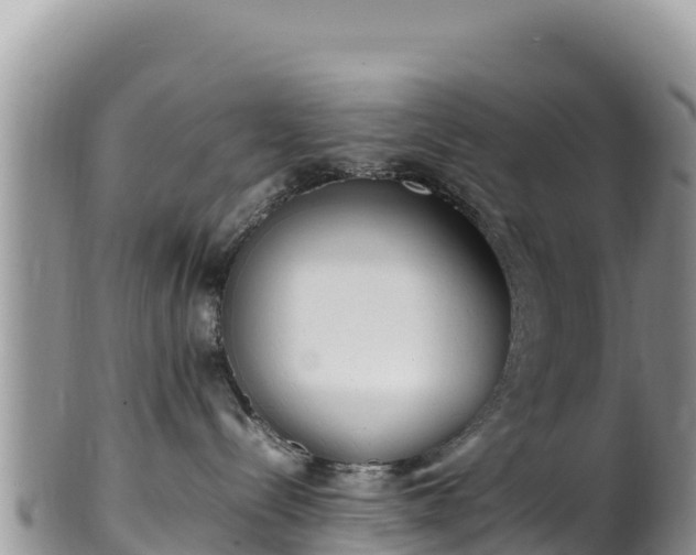 X0000102250288200808011318