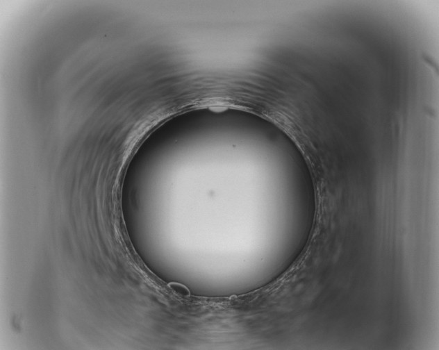 X0000102250289200808011317