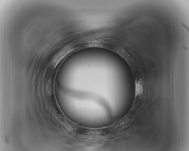 X0000102250291200808011317