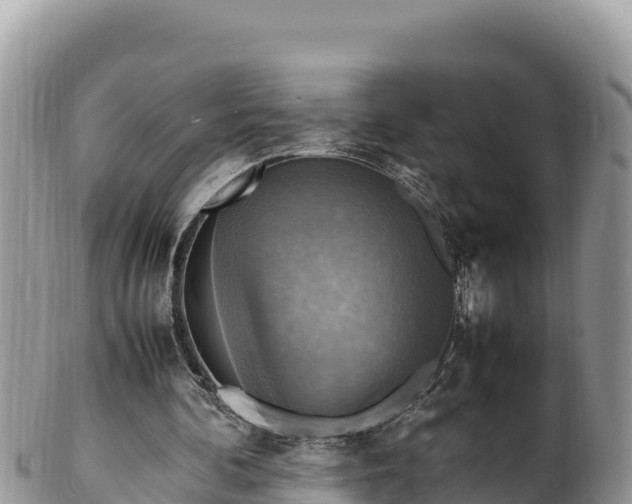 X0000102250292200808011317