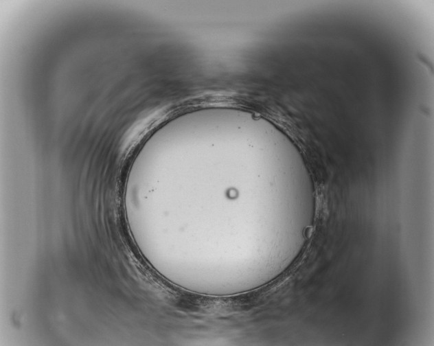 X0000102250293200808011317