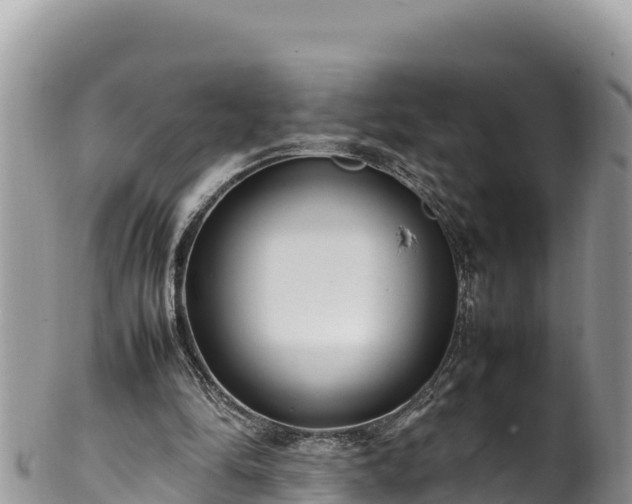 X0000102250294200808011317