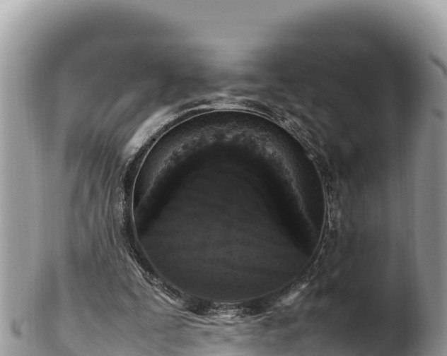 X0000102250295200808011317