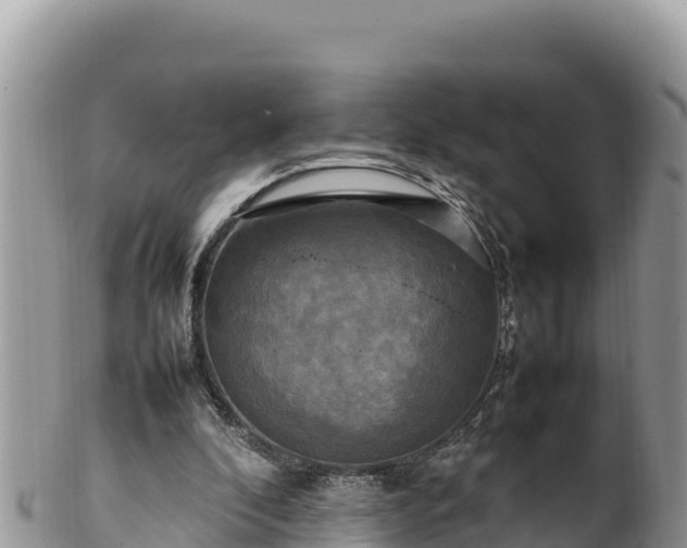 X0000102250296200808011317