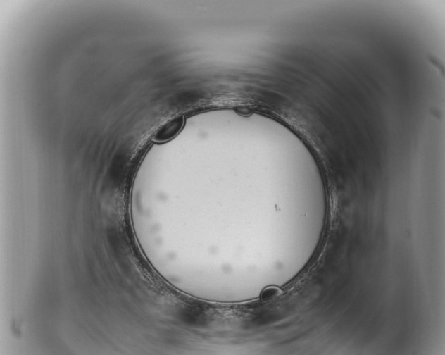 X0000102250297200808011317