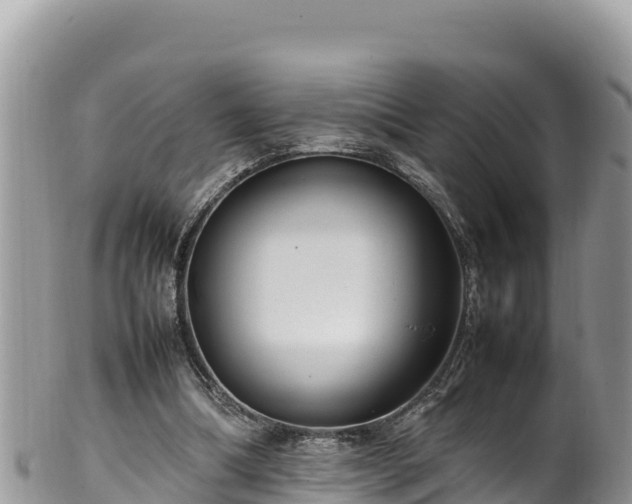 X0000102250298200808011317