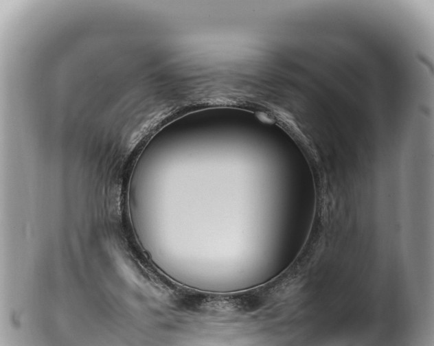 X0000102250299200808011317