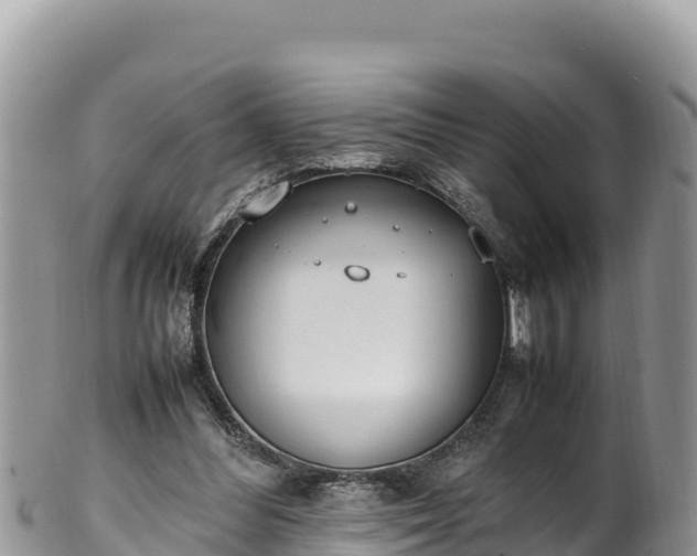 X0000102250300200808011317