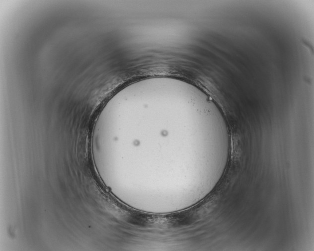 X0000102250301200808011317