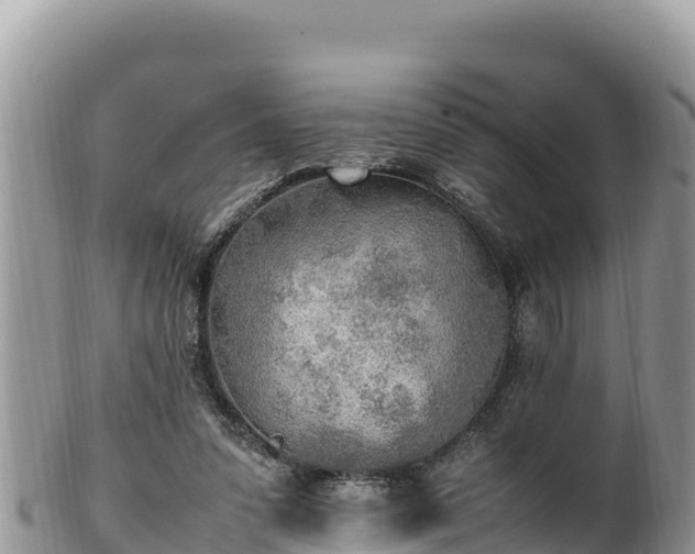 X0000102250303200808011317