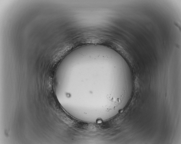 X0000102250305200808011317