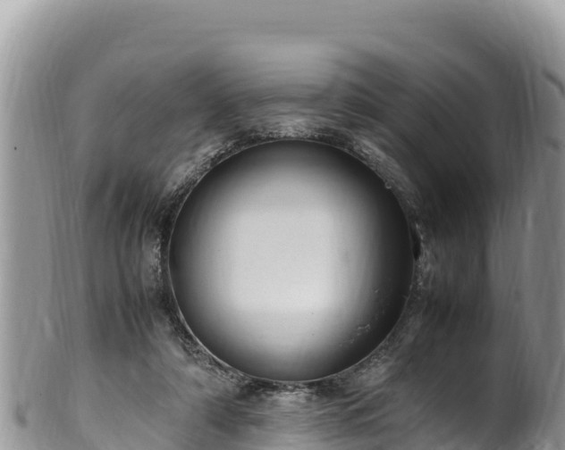 X0000102250306200808011317