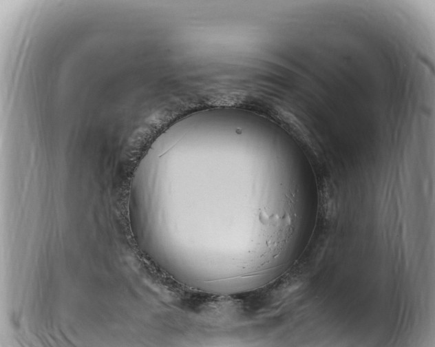 X0000102250307200808011317