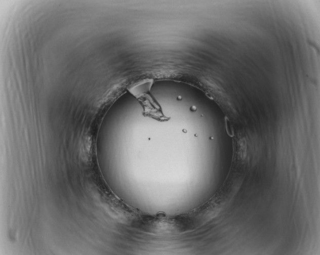 X0000102250308200808011317